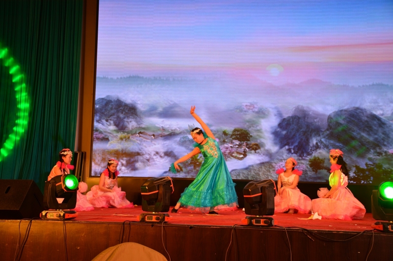 2014年同乐会表演